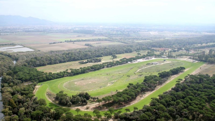 Erba alta a Demogarden. Tagliamola tutta! 