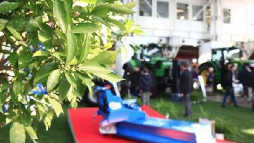 Il â€œquadriportico verdeâ€ di Eima International