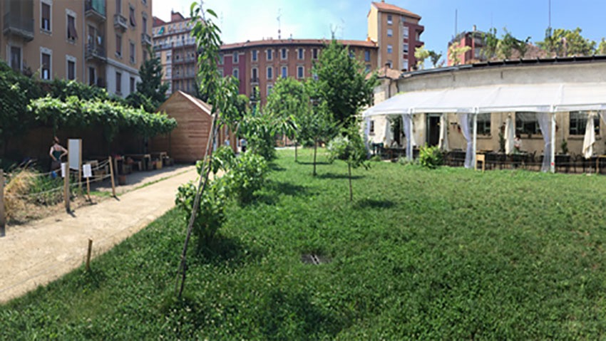 Orto a Milano, unâ€™oasi di campagna in cittÃ 