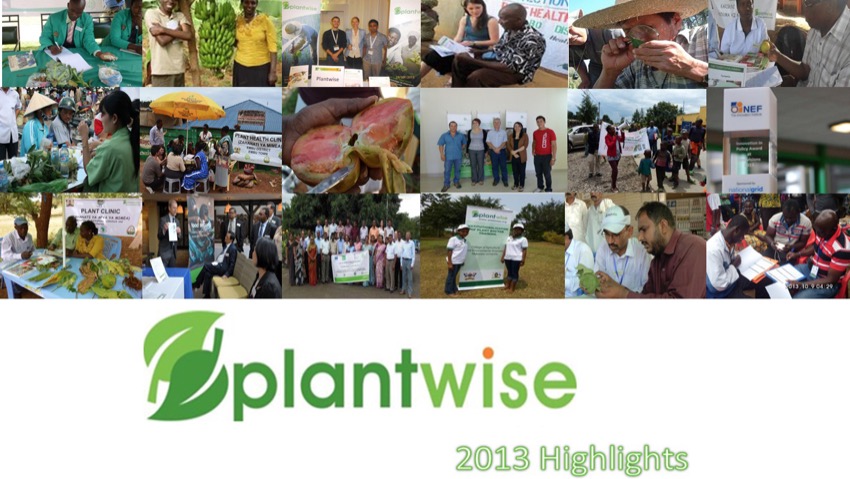 Plantwise: anche le piante hanno bisogno del dottore