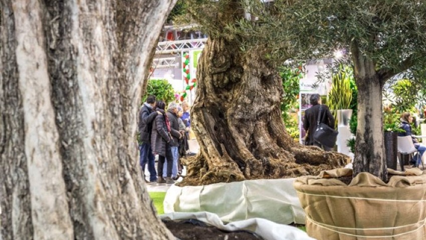 Myplant & Garden, a febbraio la seconda edizione
