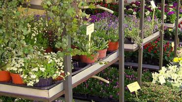 Agrigarden srl