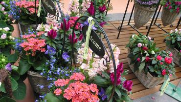 Green House Italia srl