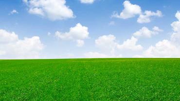 Comitato di BiodiversitÃ 