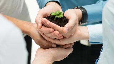Garden Team