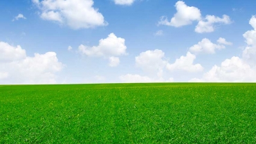 Gardenclick