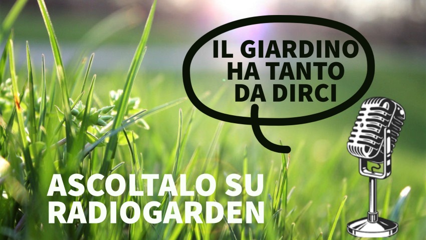 Radio Garden